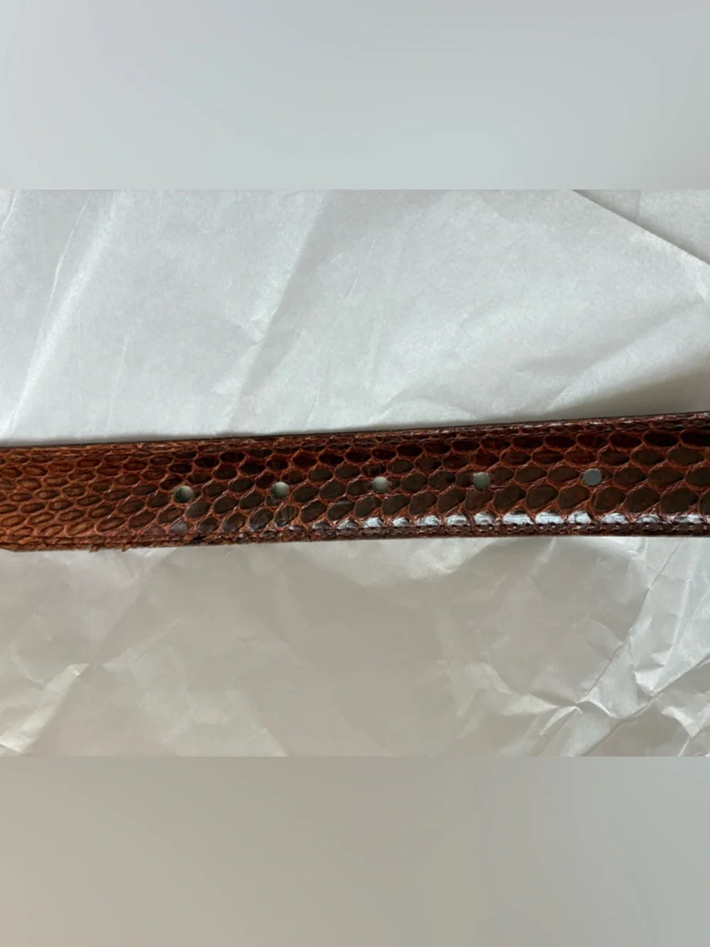 Vintage Ann Taylor Genuine Snakeskin Belt Brown